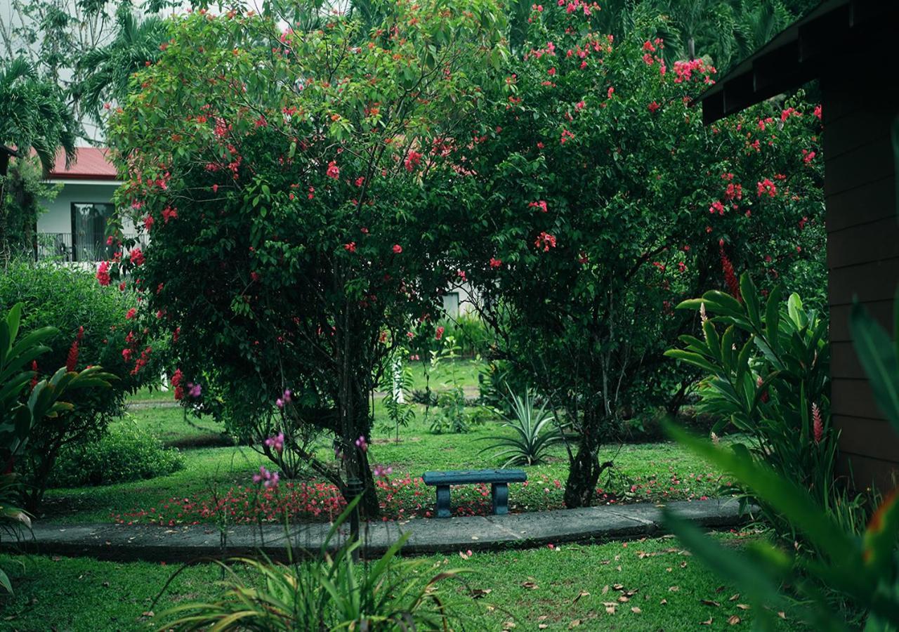 Hotel Eco Arenal La Fortuna Exterior photo