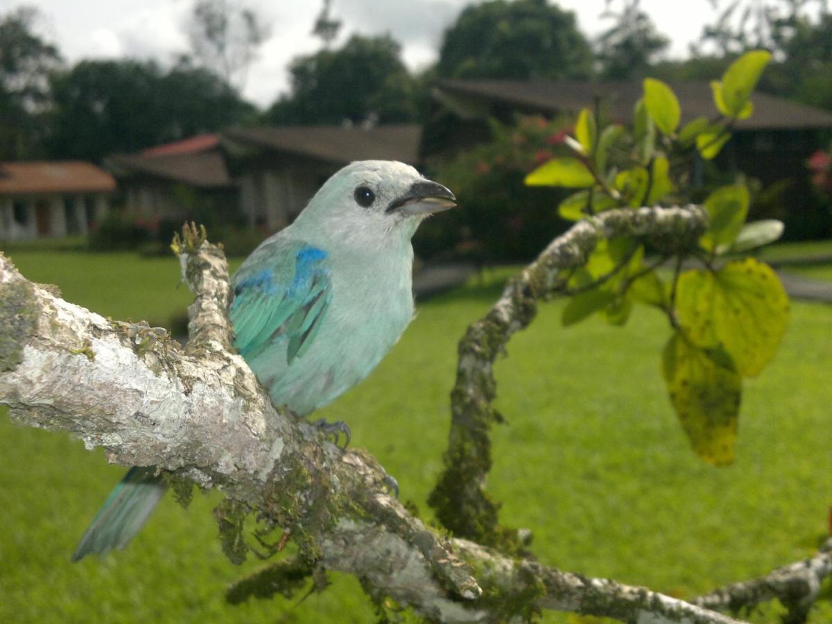 Hotel Eco Arenal La Fortuna Room photo